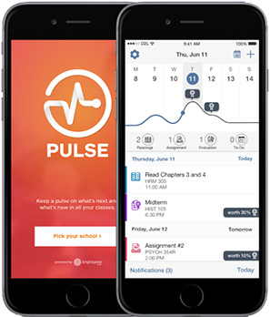 Screenshot of the app called Brightspace Pulse