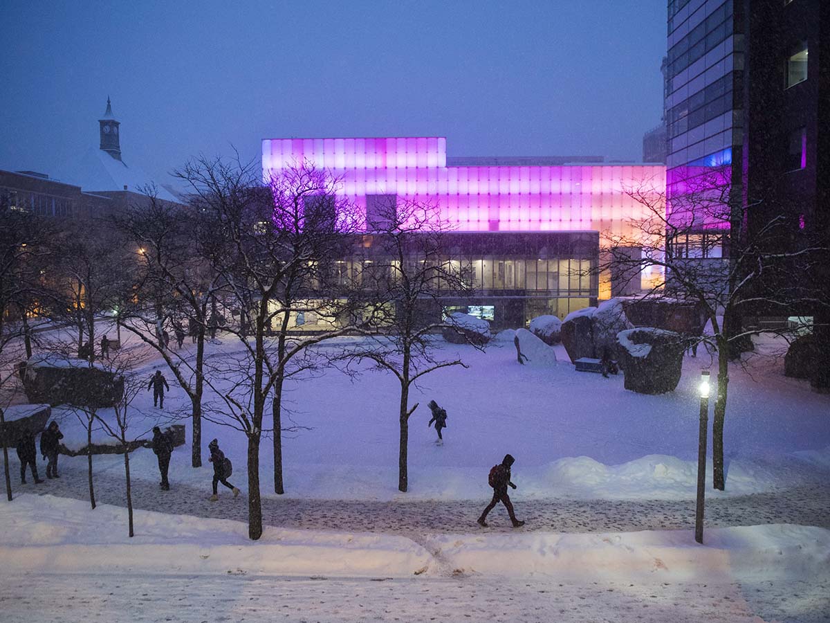 Torontonians skate on and walk around Lake Devo on a winter evening with the Image Centre lit up in purple behind the lake.