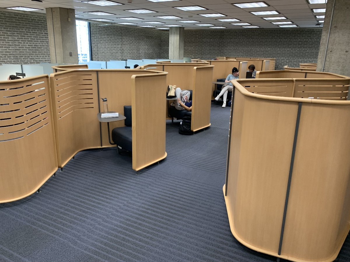 Students recline and work in the individual study carrels on a quiet floor in the TMU library. 