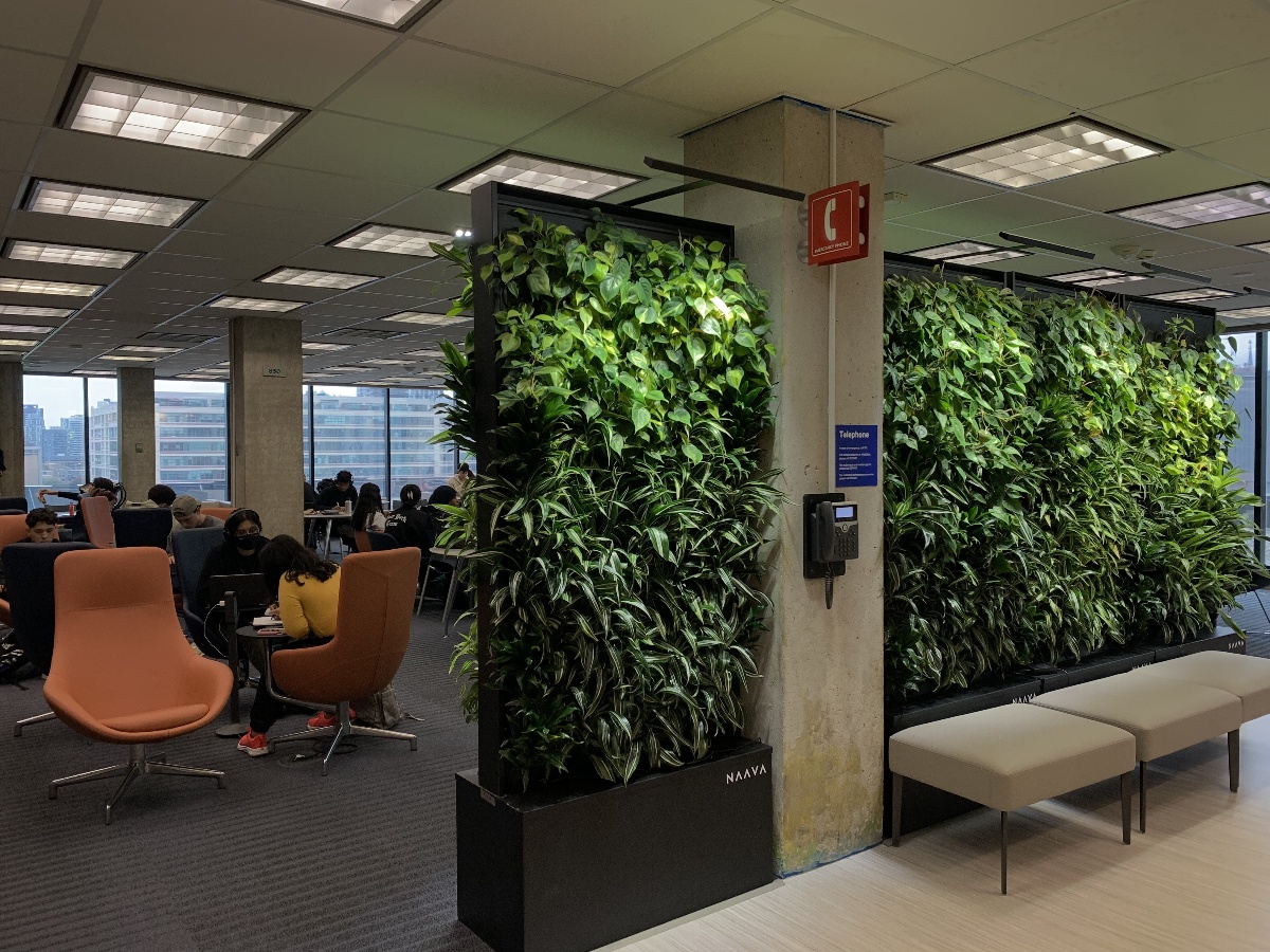 There is a wall of green leaves upon entering the library room as students work in groups on their laptops..