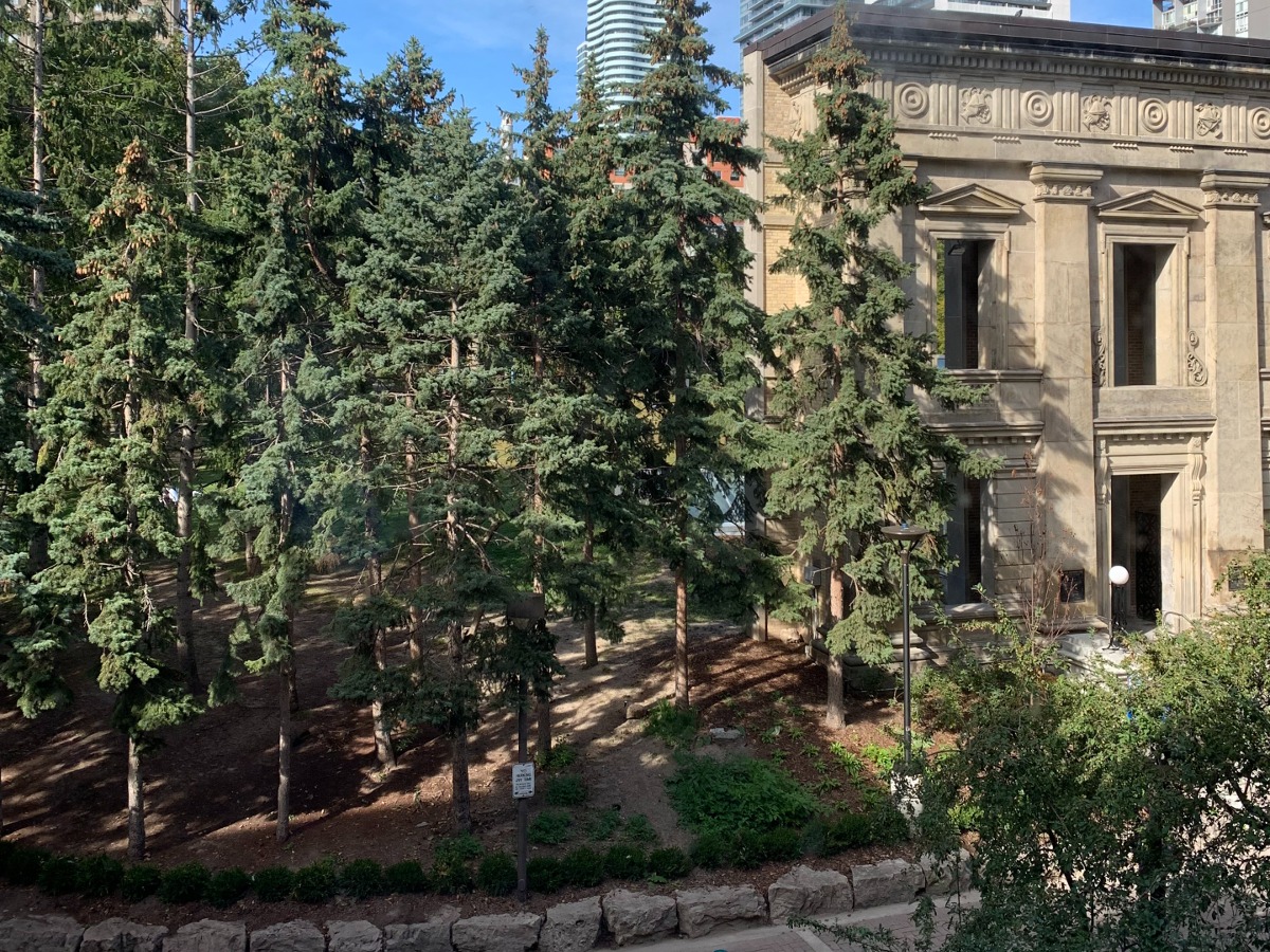 The classic front entrance of the RAC pokes out from among the trees in the Quad on a sunny day.