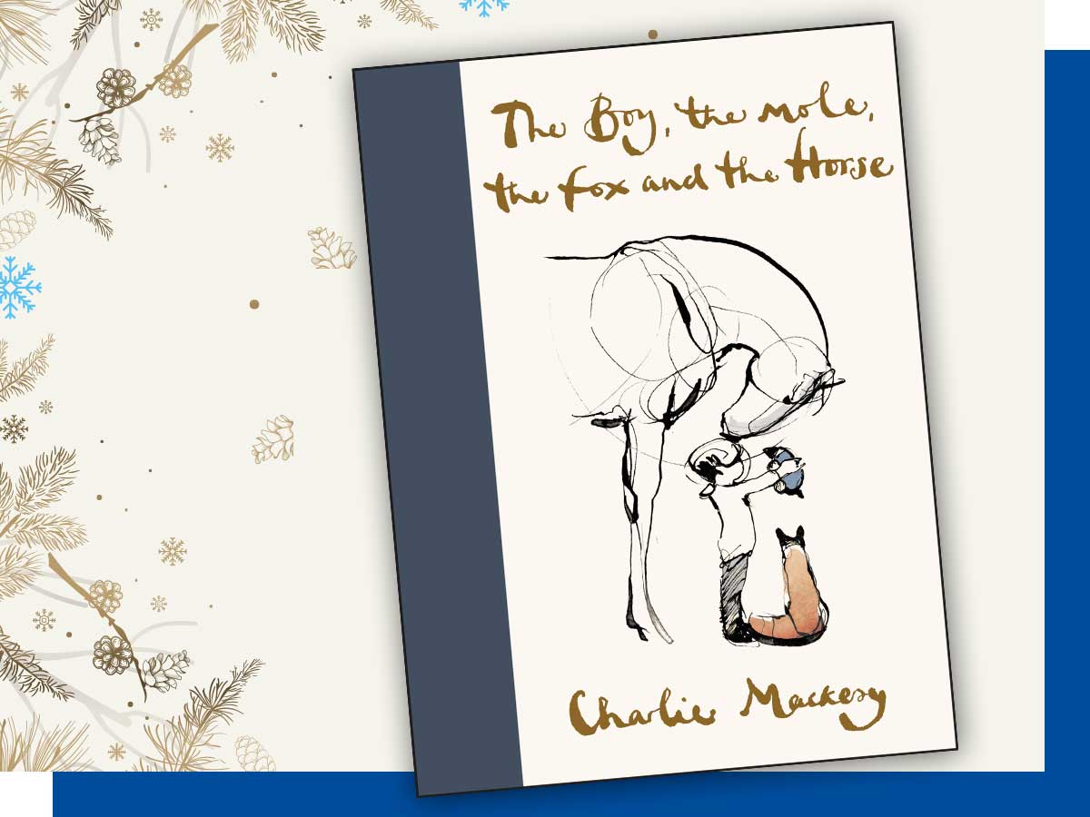 The Boy, the Mole, the Fox and the Horse by Charlie Mackesy