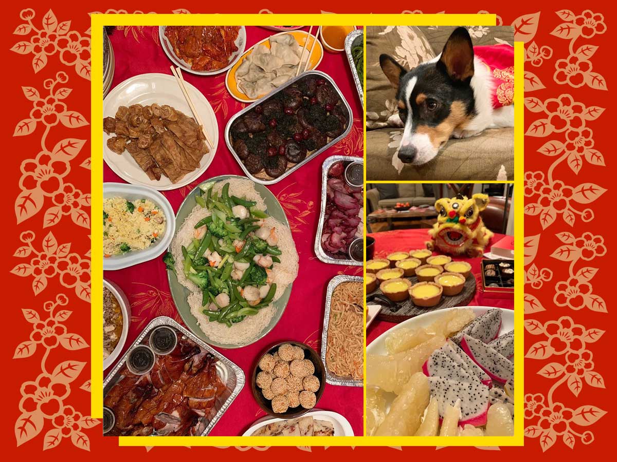 Collage of Lunar New Year dinner: table with red cloth and platters of Chinese food. A white dog with brown and black markings wears a red Lunar New Year cape with gold Chinese symbols. A small dragon toy sits next to chocolates, egg tarts and fruit.