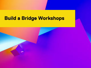 Build a Bridge Workshops