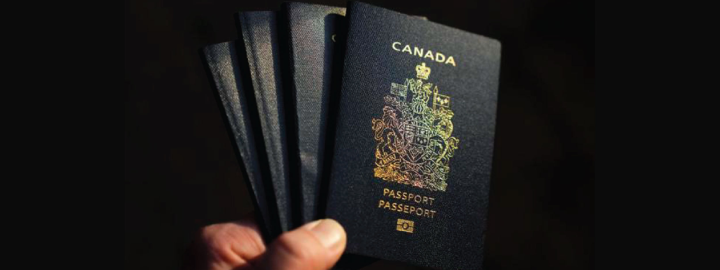 Reports about declining naturalizations belie the historical and political obstacles that prevent many migrants from becoming citizens. THE CANADIAN PRESS/Sean Kilpatrick