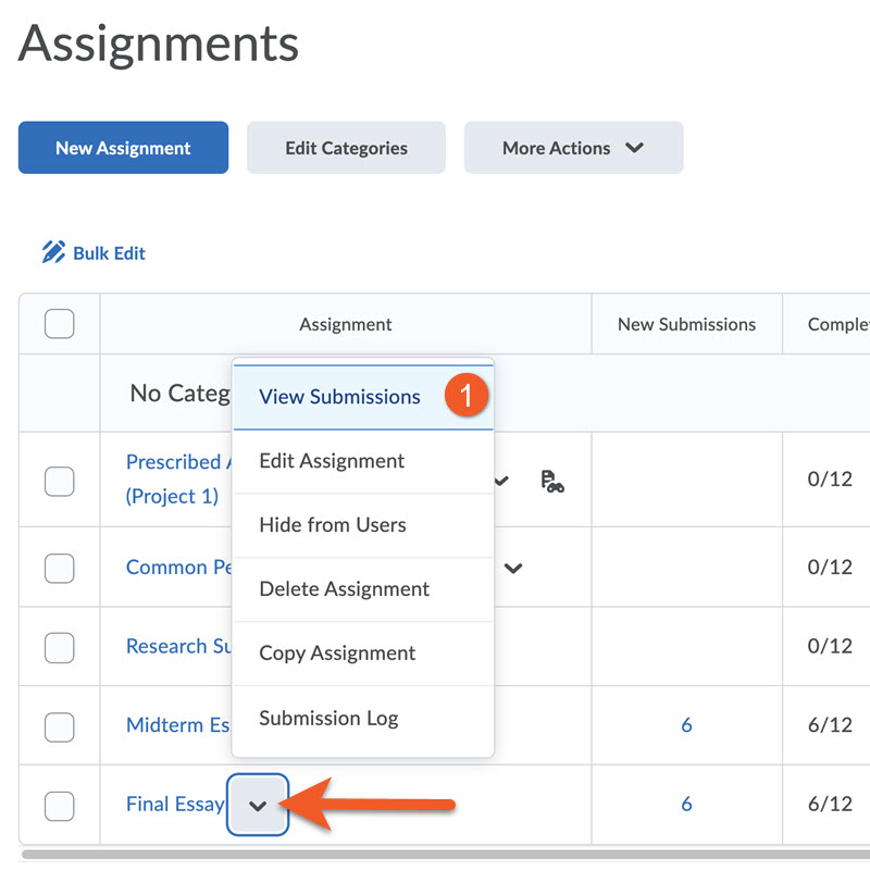 View assignment submissions