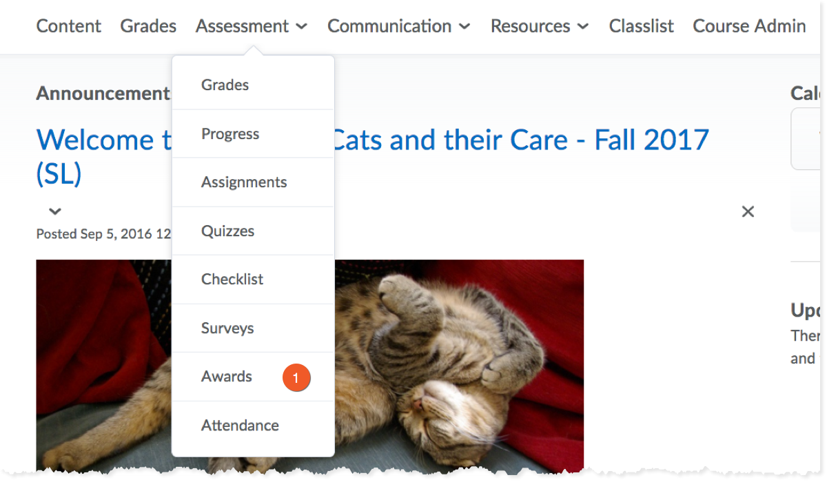 Go to the Awards tool in your course shell.