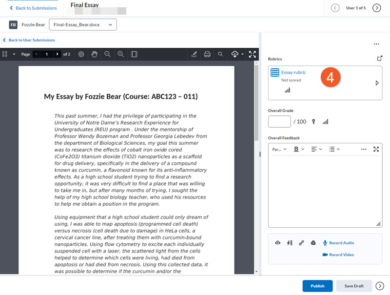 Rubric for dropbox assignment