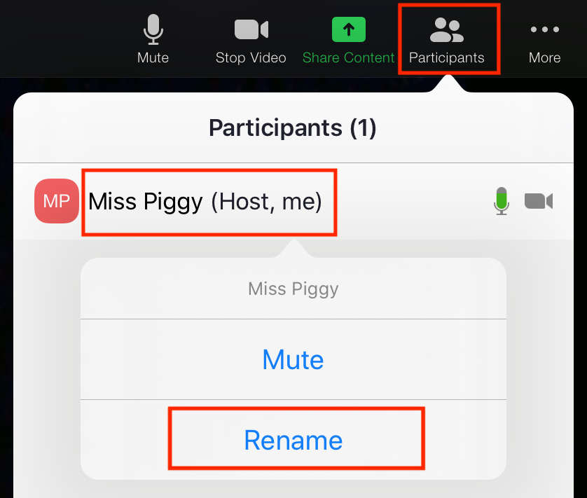 Screenshot of Participants pop-up on mobile. Double tap on your name to access Rename button.