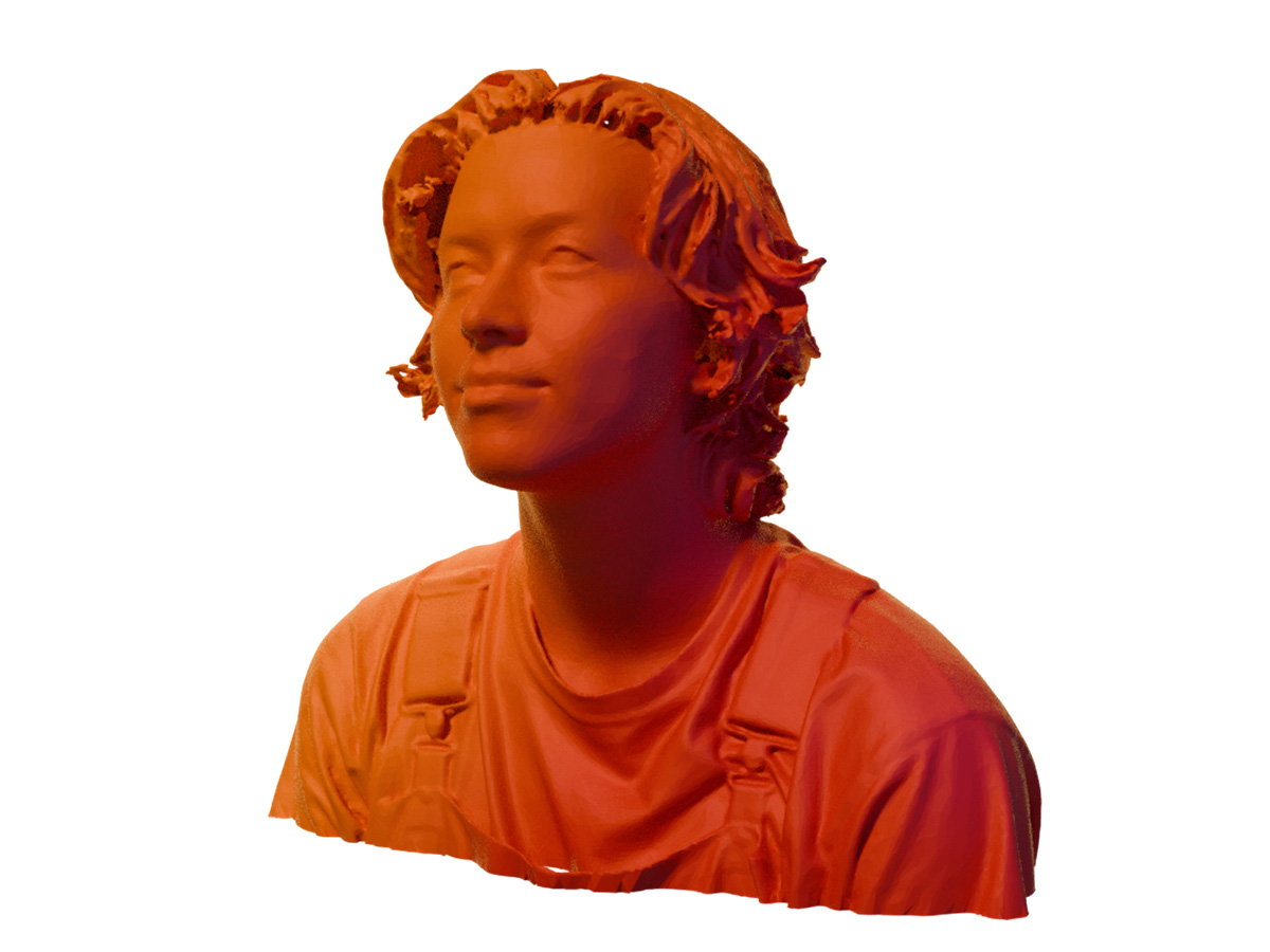 orange 3D Scan of Finch
