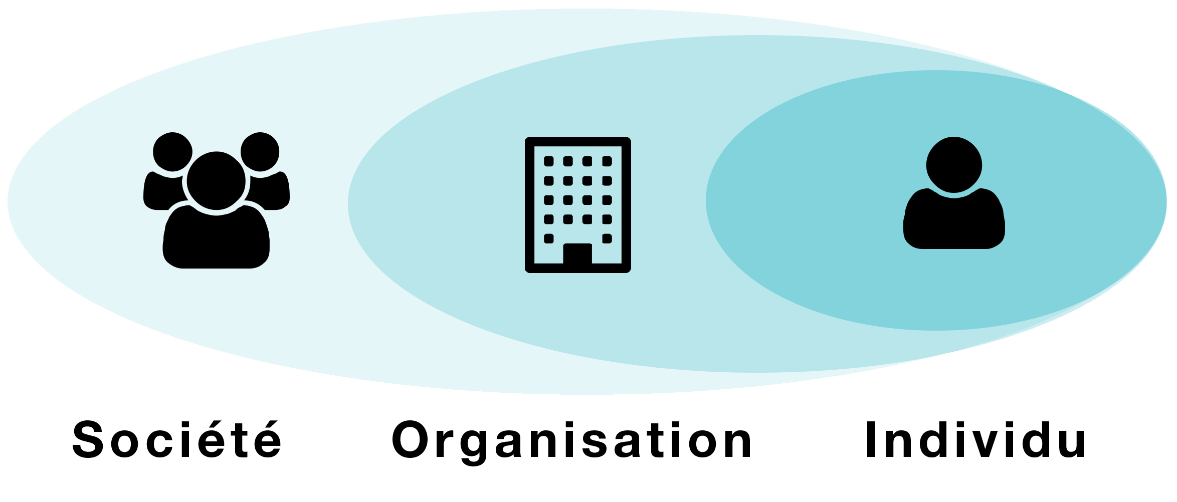 Icons and accompanying text displaying three concepts: Société, Organisation and Individu