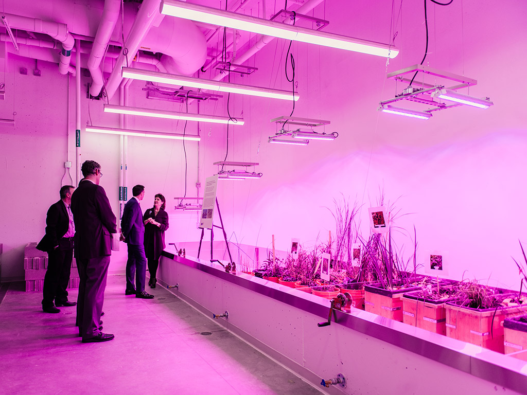 A group of researchers inside the new Centre for Urban Innovation building