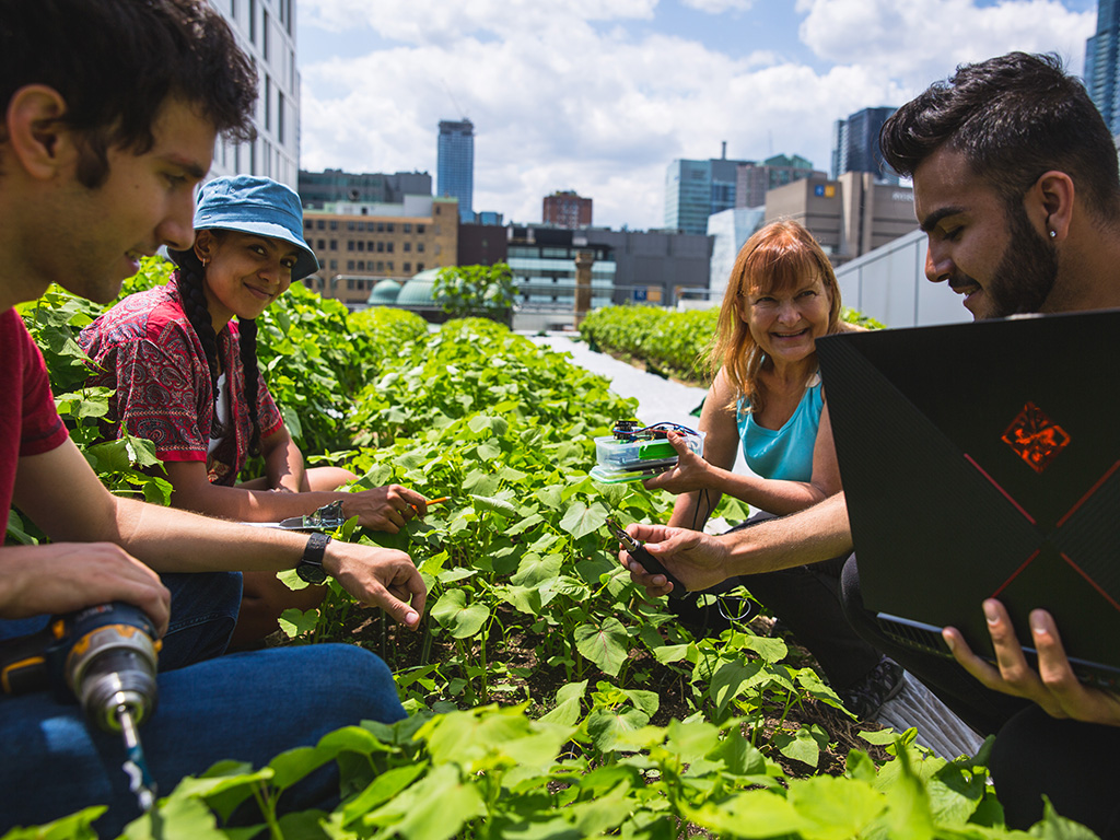 Kristiina Valter Mai sits with students on the Urban Farm's green roof looking at food-producing plants