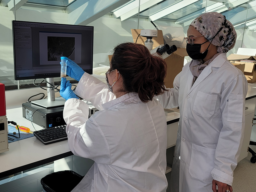 Two women wearing face masks and white coats work together in a lab