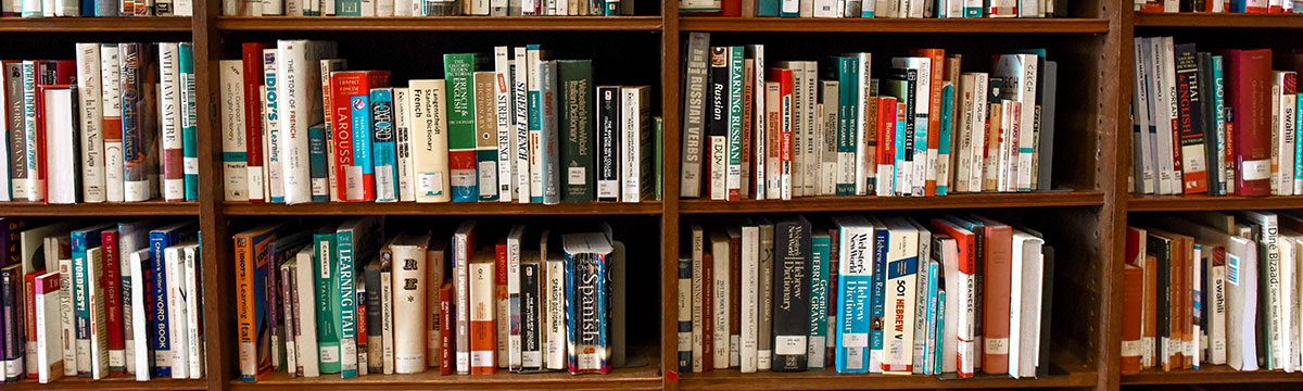 A few shelves of with multiple rows of books