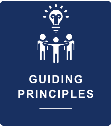 Guiding Principles