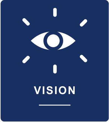 Vision