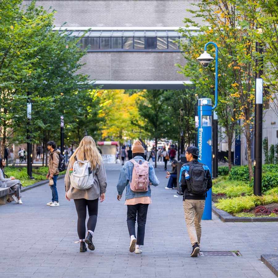 Three students on Nelson Mandela Walk, surrounded by autumn trees.