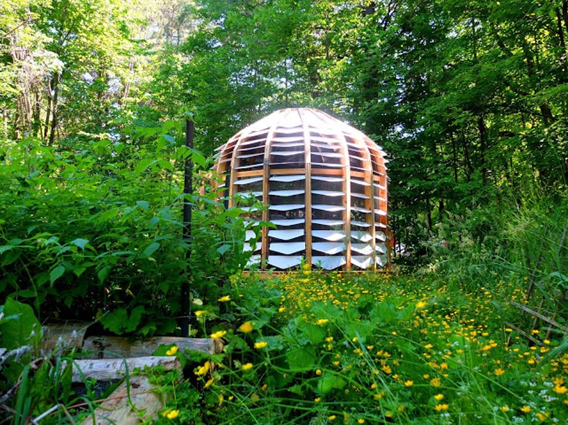  A wooden building photographed amongst wild flowers