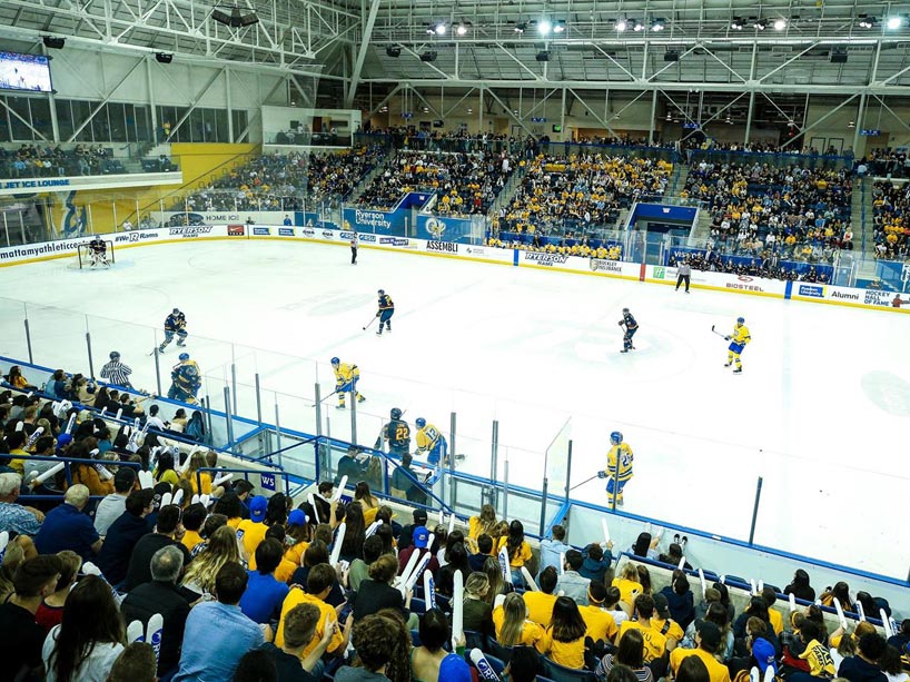 A crowd watches male hockey players on the ice