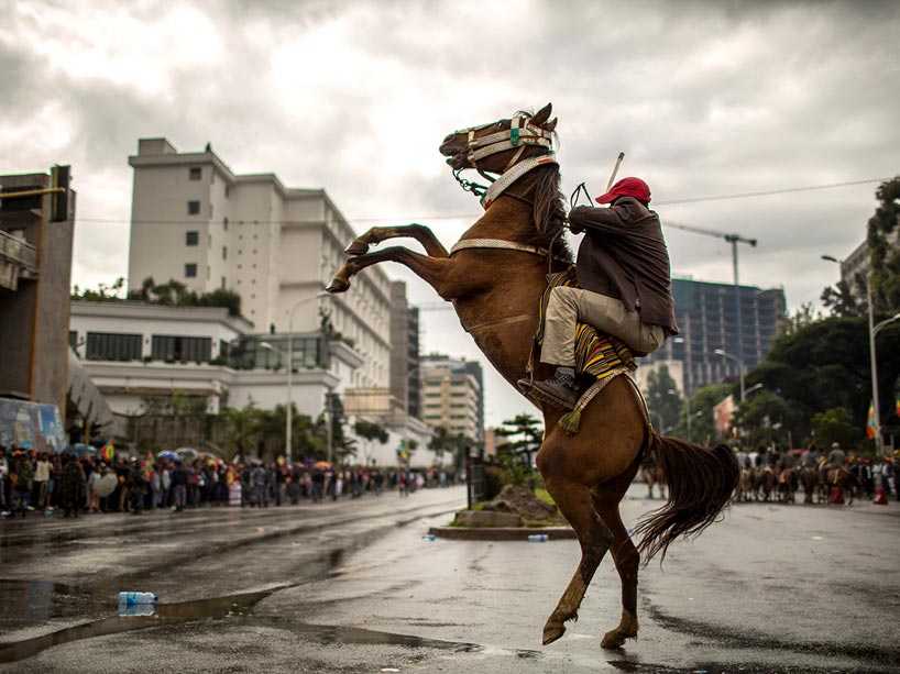 A rider tries to steady a rearing horse