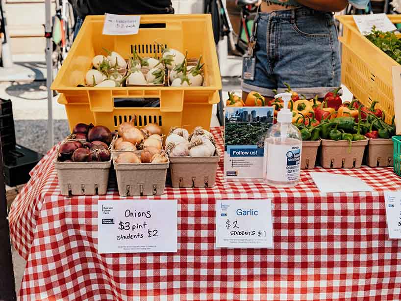 A selection of fresh produce from Ryerson Urban Farm