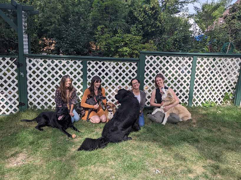 Four women sitting on a lawn with several dogs.