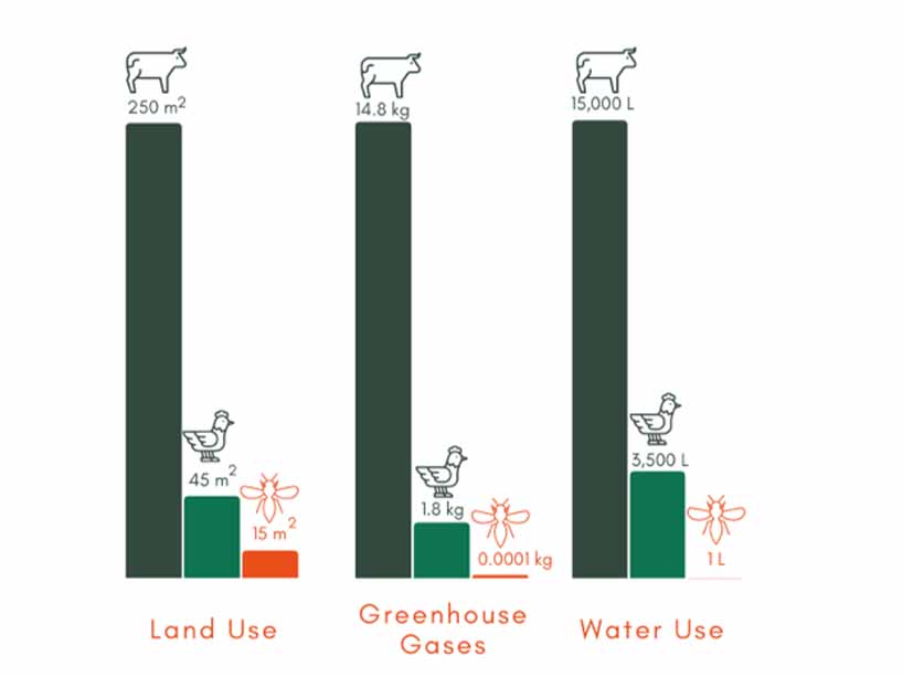 A graph of land use, greenhouse gas emissions and water use between beef, chicken, and insects. Accessible summary below. 