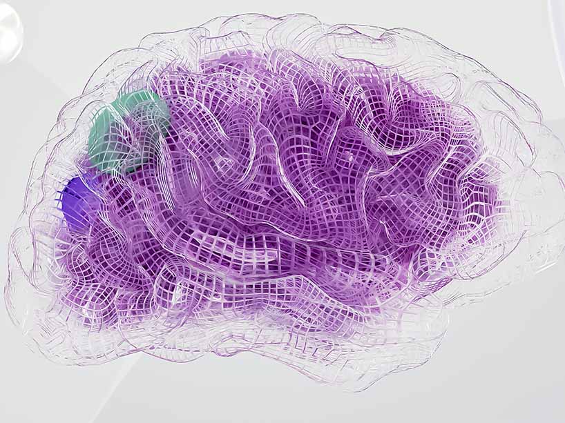 Graphic computer illustration of a human brain