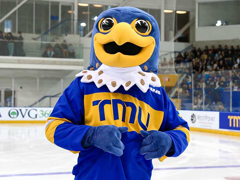 A falcon mascot on an ice surface