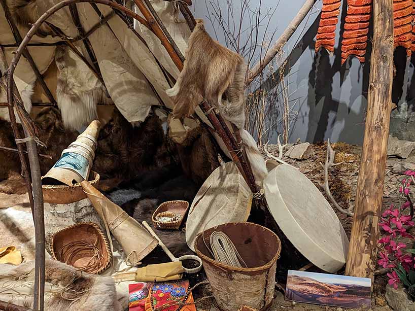 Display of hides and tools used in the process of hide tanning