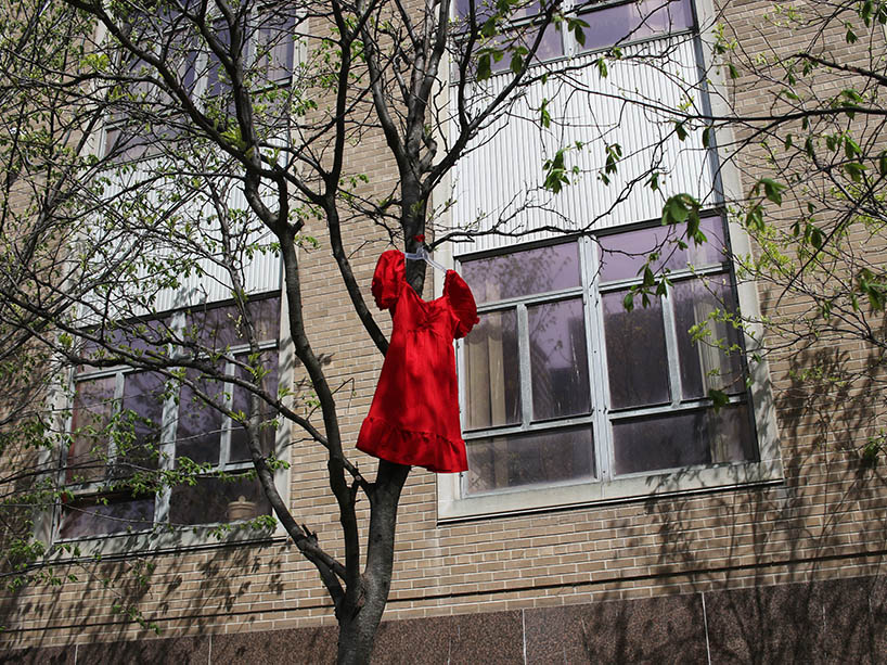 A red dress hangs high in a tree, swaying in the wind.