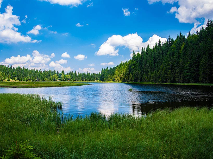 A view of a lake from the shoreline.