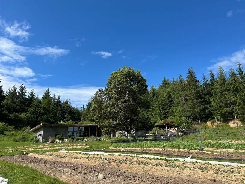 A field of crops on the Quarry Farm on Salt Spring Island, BC.