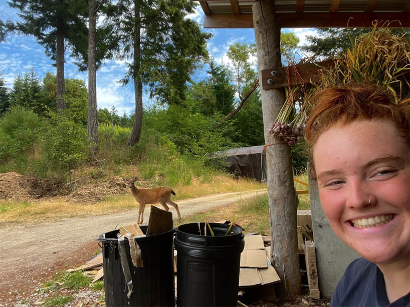 Mac Clarke smiles on the Quarry Farm as a baby fawn scopes out the compost. 