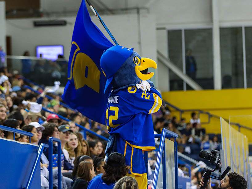 A mascot holds a flag in the stands. 