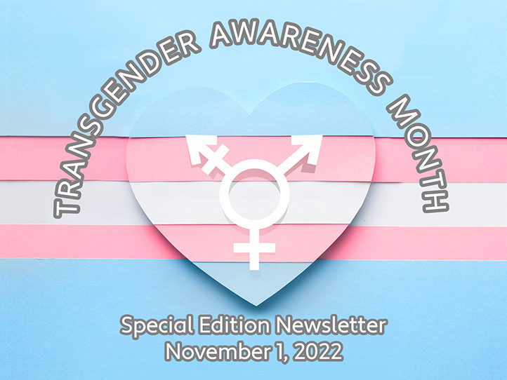 Trans Awareness Month - Professional Communication - Toronto ...