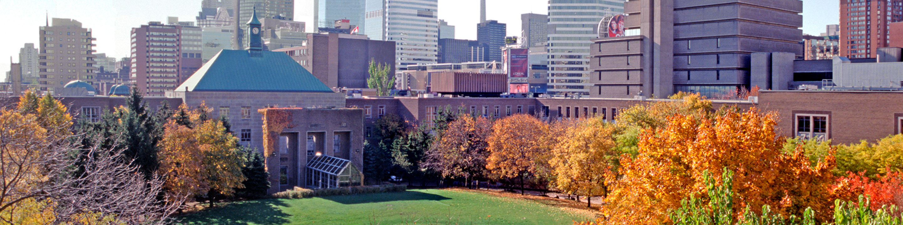 Image of the Quad in the fall