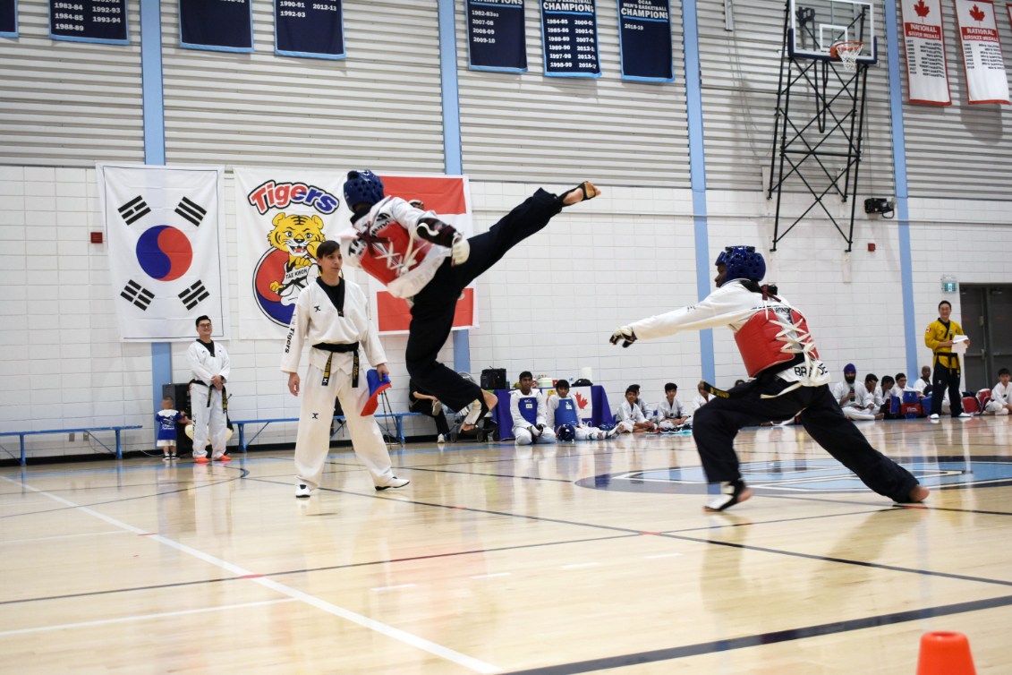 Recreational Taekwondo