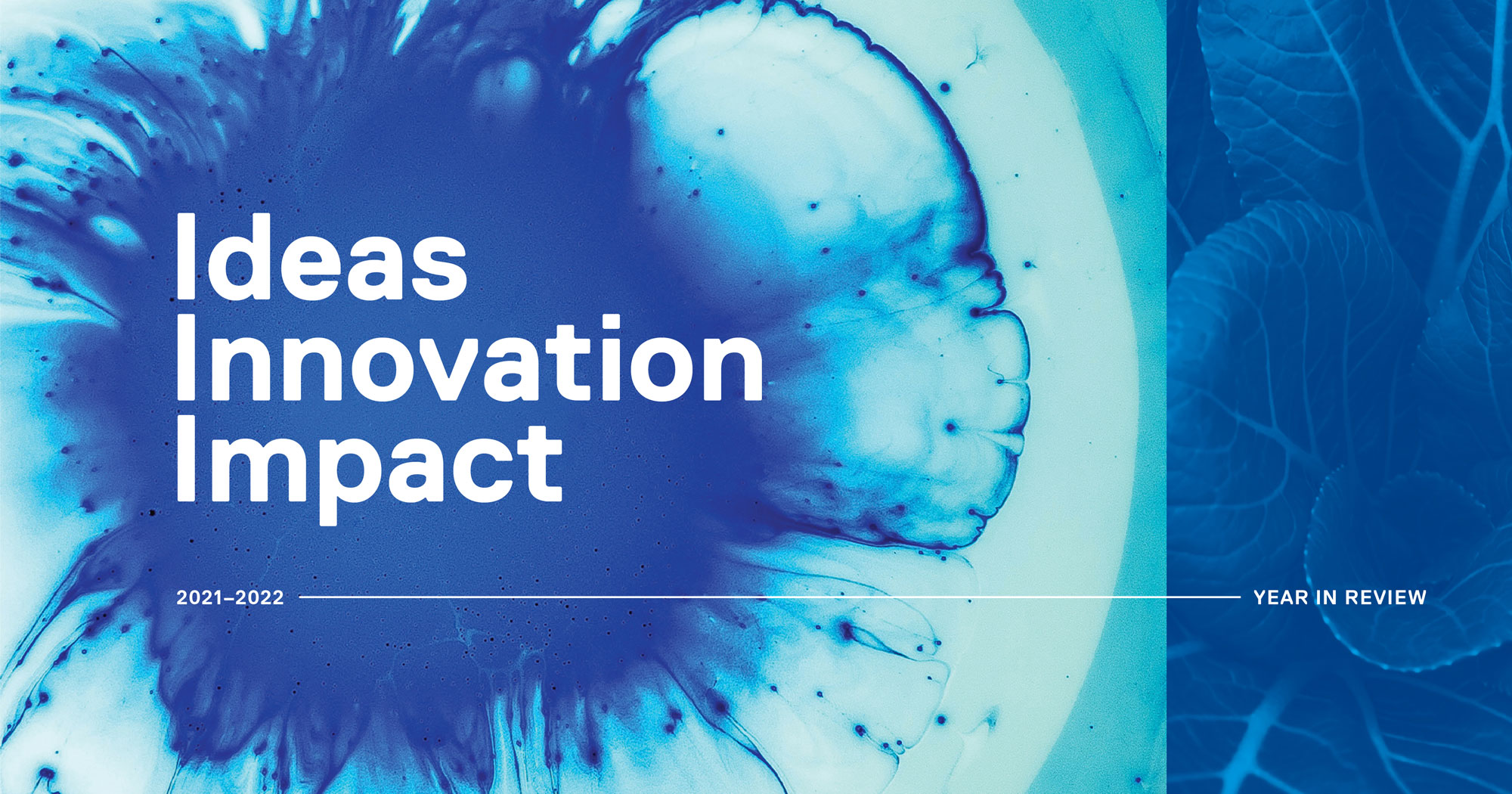 Ideas, Innovation, Impact – 2021–2022 Year In Review.