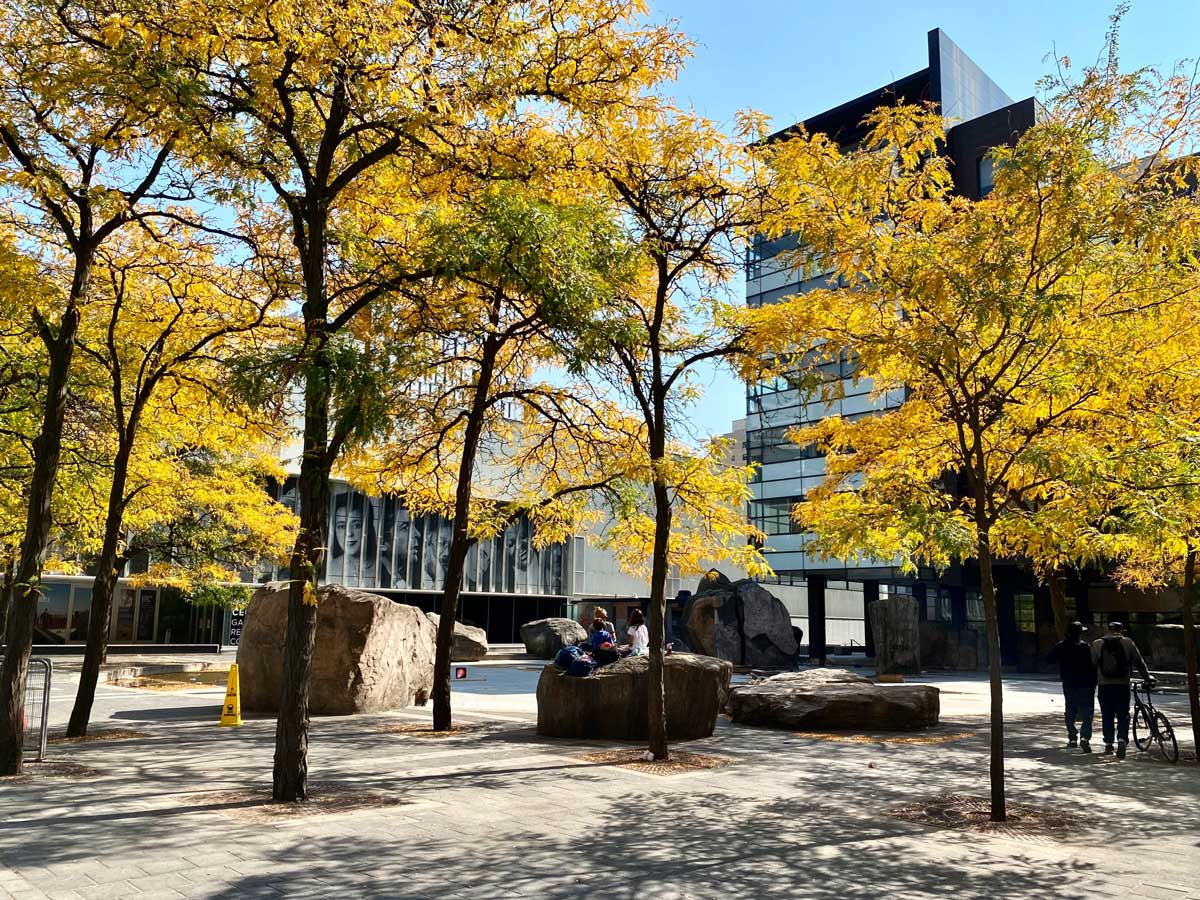 Toronto Metropolitan University campus in autumn