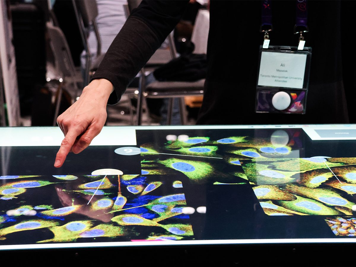 A woman’s hand points at blue and yellow images of human cells on a touchtable screen. Photo credit: Zeeanna Ibrahim/Zone Learning at Toronto Metropolitan University. 