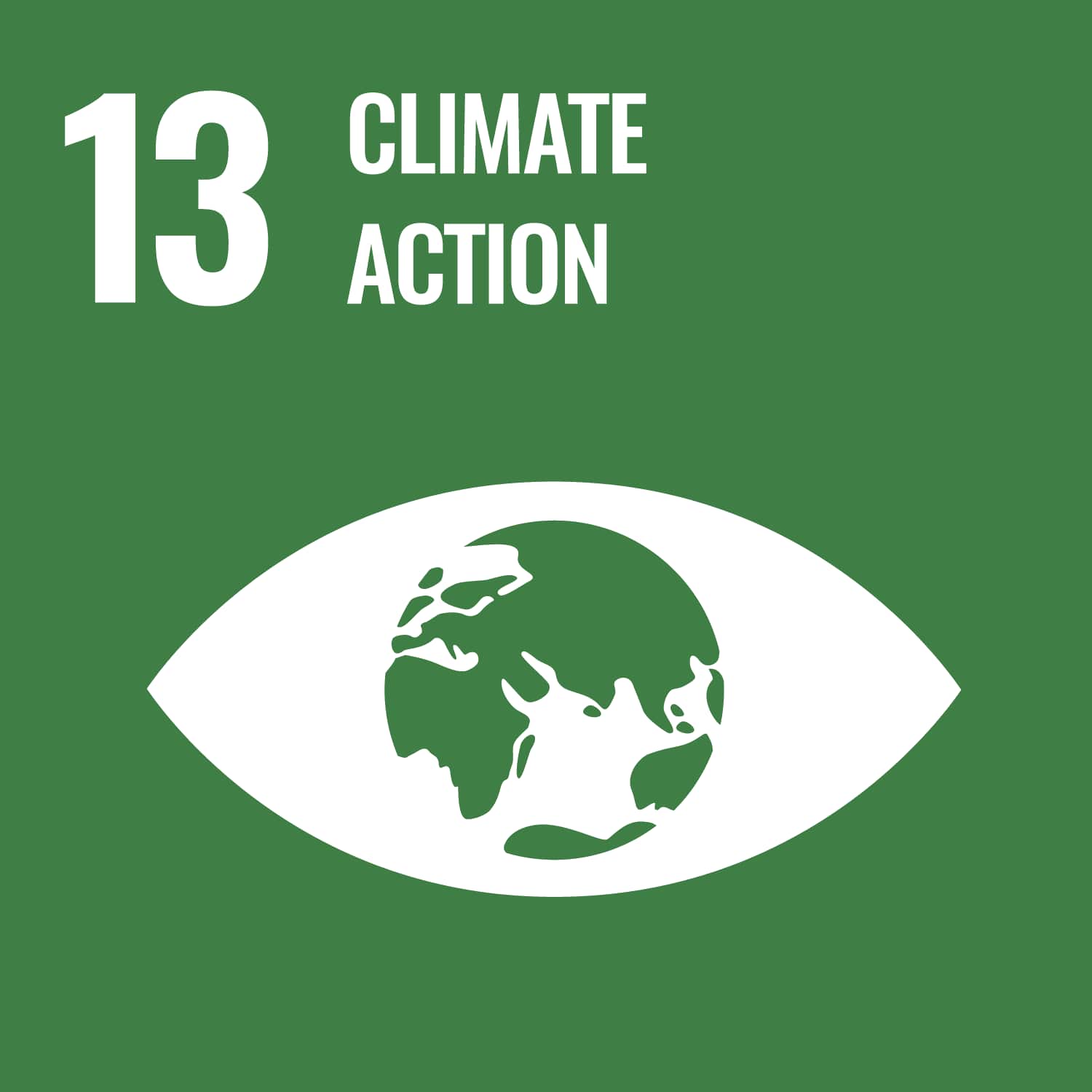 The logo for United Nations Sustainable Development Goal (SDG) 13: Climate Action