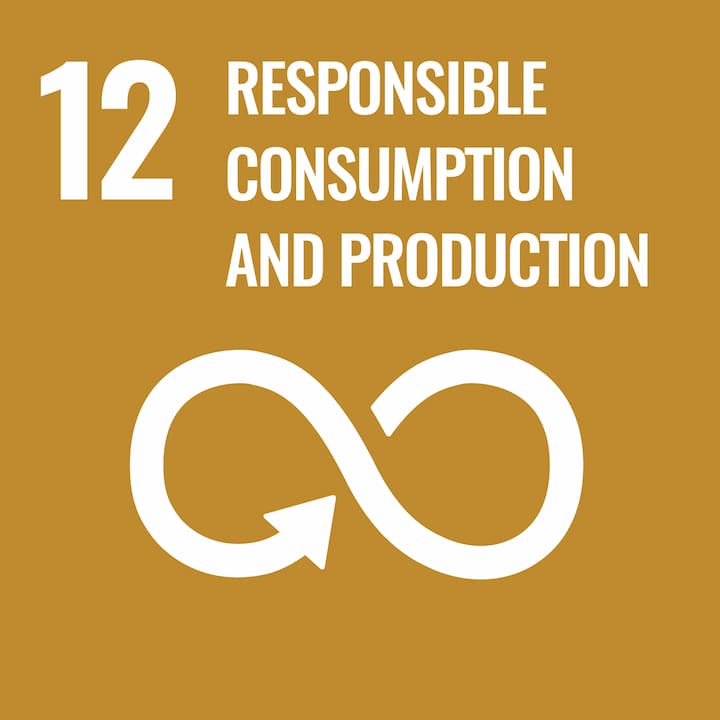 The logo for United Nations Sustainable Development Goal (SDG) 12: Responsible consumption and production