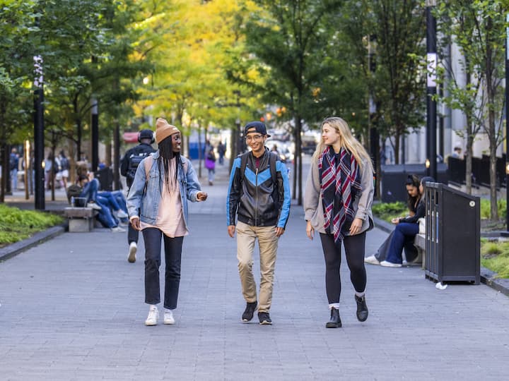 Three students walk together down a tree-lined campus path, chatting and smiling on a sunny day.