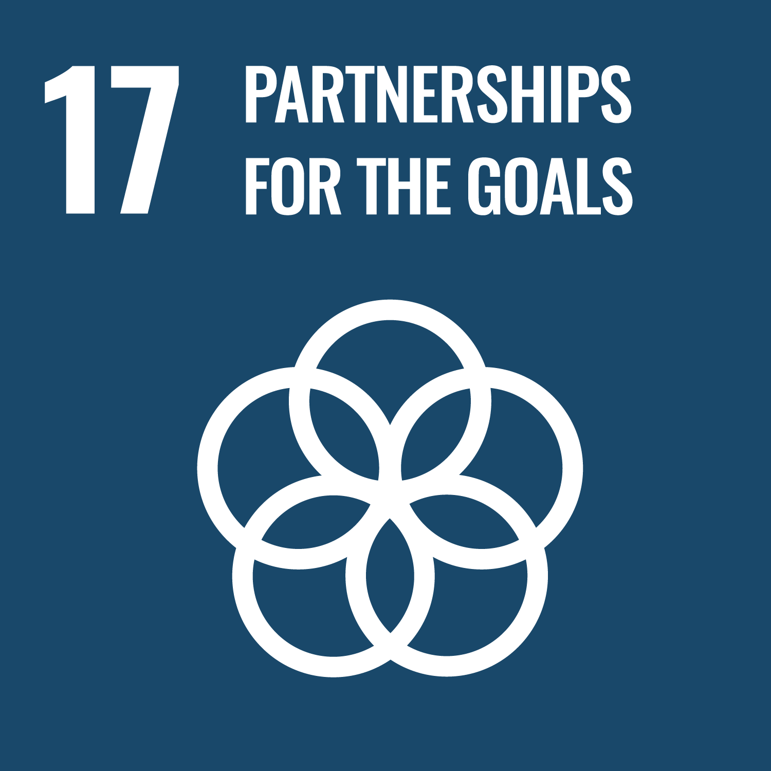 The logo for United Nations Sustainable Development Goal (SDG) 17: Partnerships for the Goals