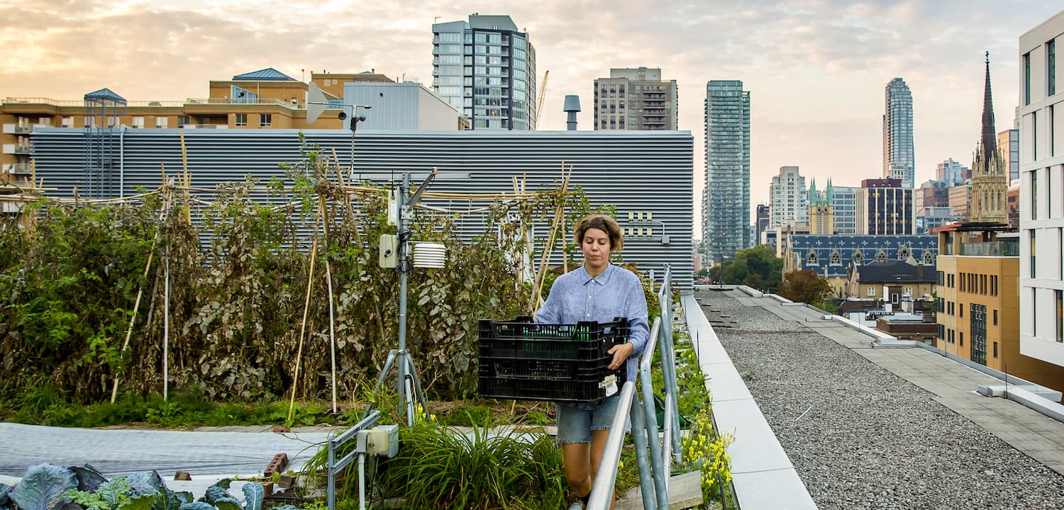 Person carrying a crate on a rooftop garden with city buildings in the background.