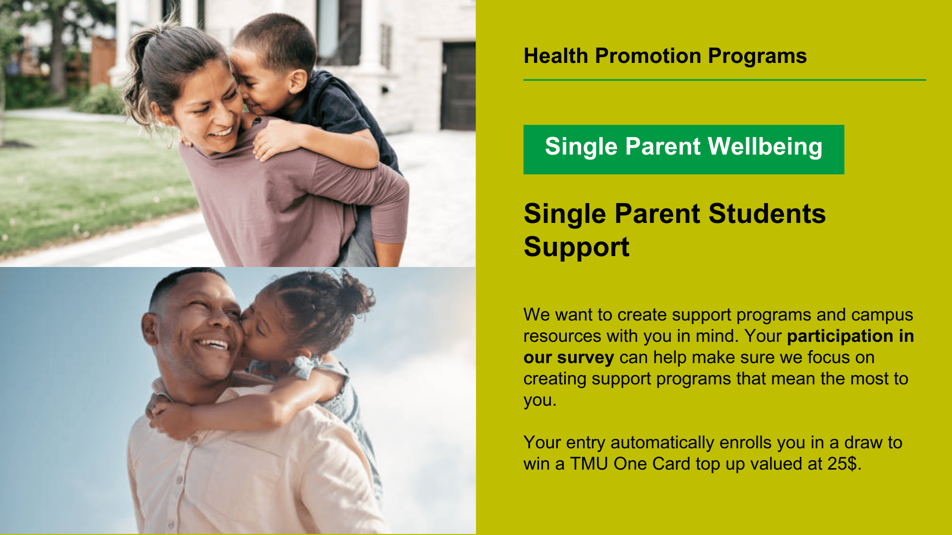 TMU Single Parent Experiences Survey