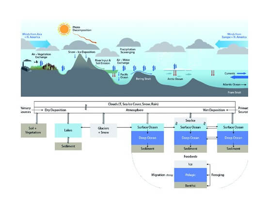 Diagram showing persistent organic pollutants