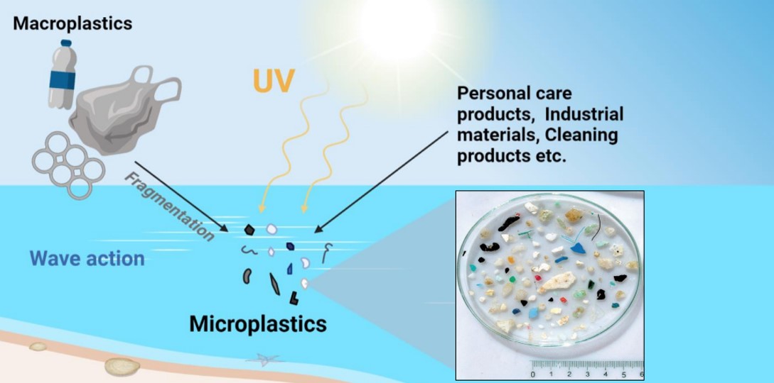 Diagram showing how cleaning products & other chemicals are transformed into microplastics in ocean by UV